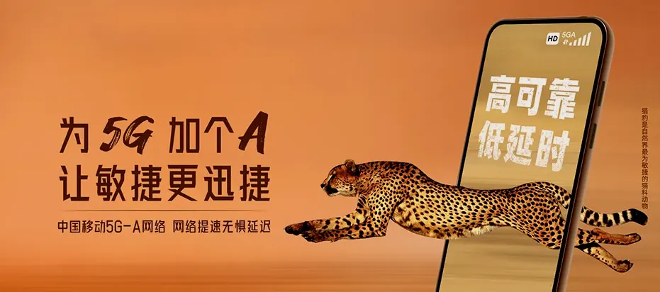 宜秀区宜秀区杨桥镇 移动宽带